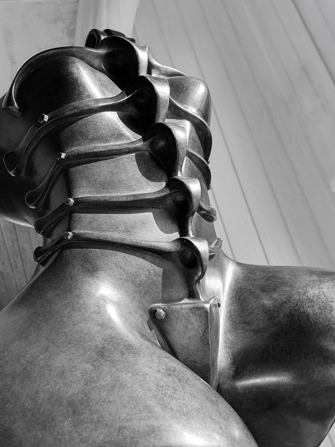 Bronze sculpture by Katherine-Ann Mueller for specieskam