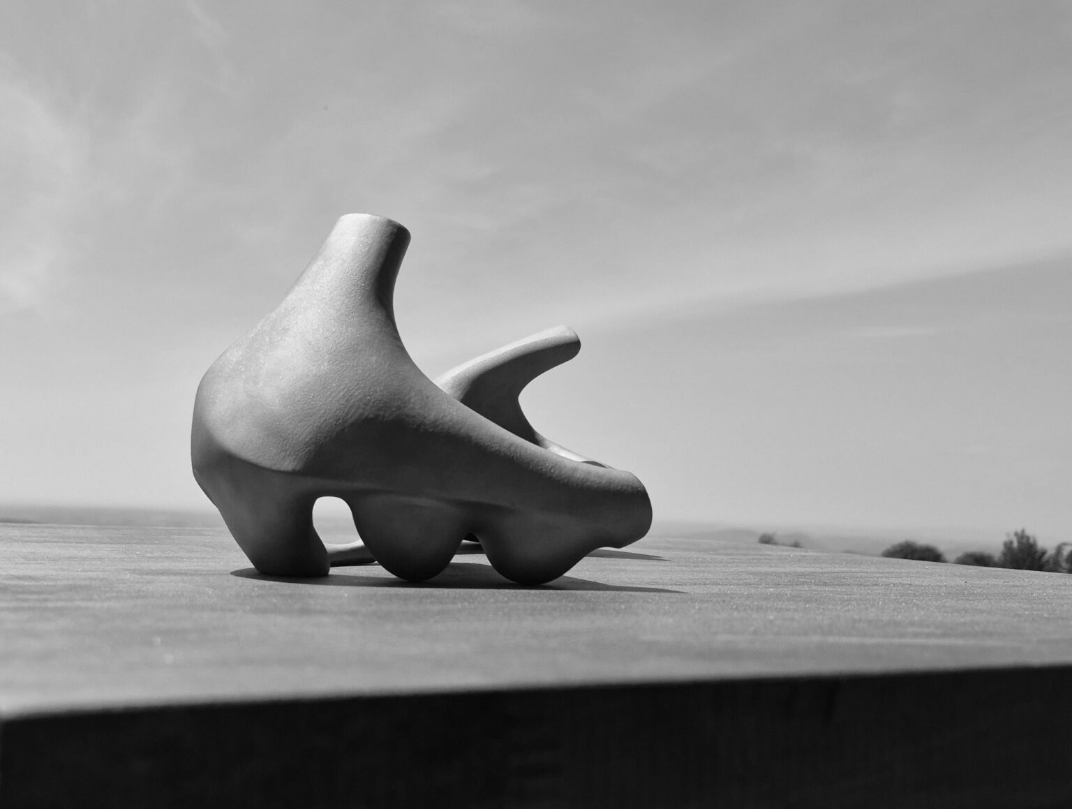 stainless steel sculpture by Katherine-Ann Mueller for specieskam