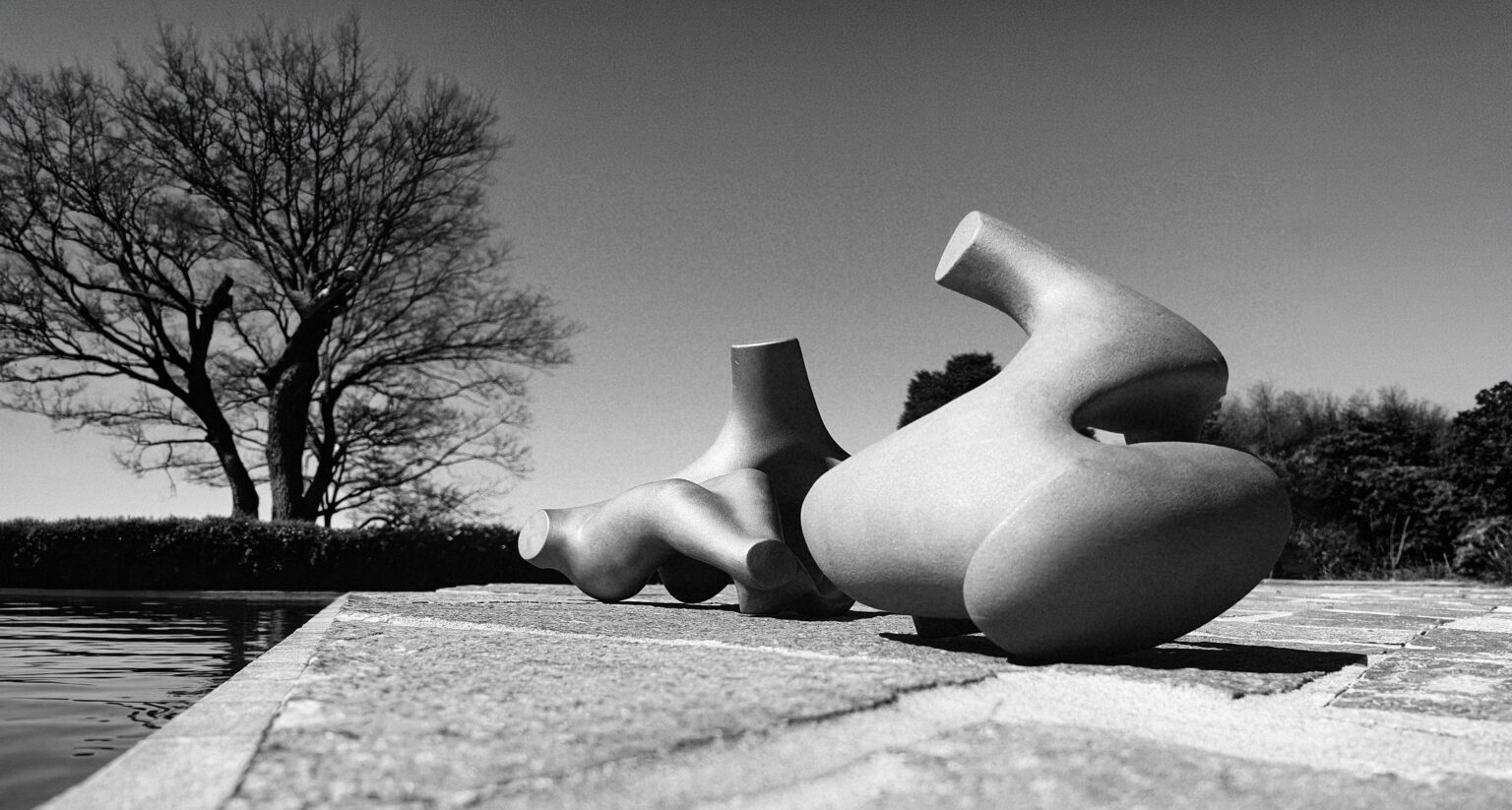 stainless steel sculpture by Katherine-Ann Mueller for specieskam